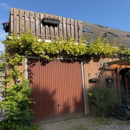 Alte Trauben Haus